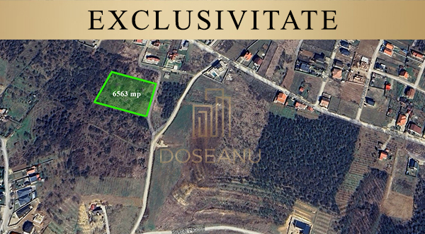 DOSEANU IMOBILIARE
