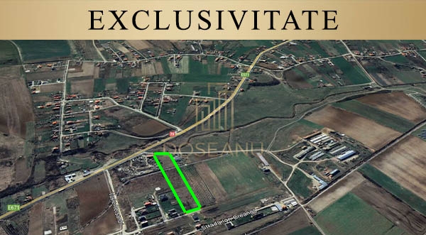 DOSEANU IMOBILIARE