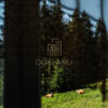 Gallery Thumbnail 24