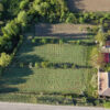 Gallery Thumbnail 12