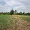 Gallery Thumbnail 9