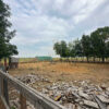 Gallery Thumbnail 8