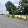 Gallery Thumbnail 7