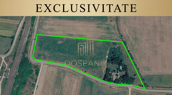 DOSEANU IMOBILIARE